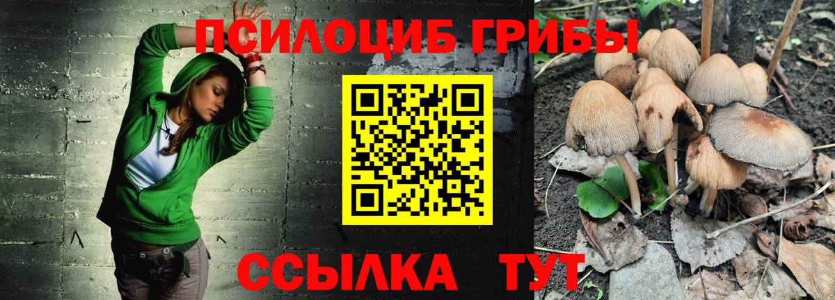 Меф   Гашиш  APVP СОЛЬ кристаллы  Балашов  Где купить наркотики?  МЕТ  Кокаин  Вход с VPN  LSD-25 