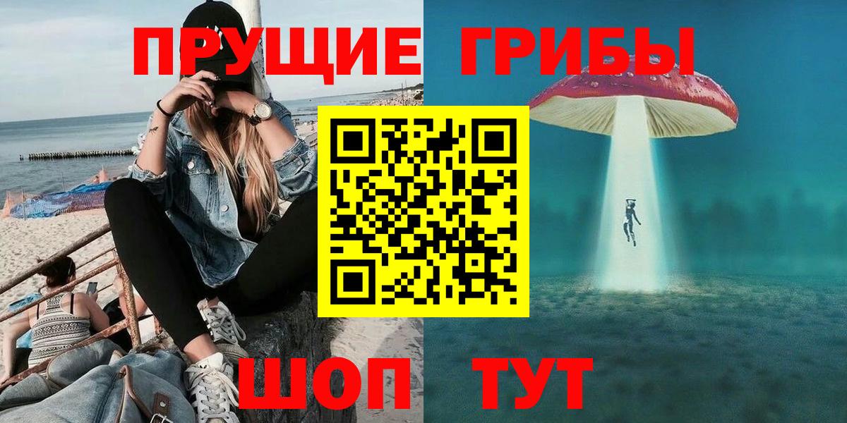 Балашов  Галлюциногенные грибы Psilocybe  Вход с VPN 